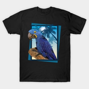 Hyacinth macaw T-Shirt